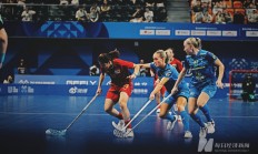 开云体育在线-瑞典队完胜法国队，林高远点燃赛场的简单介绍