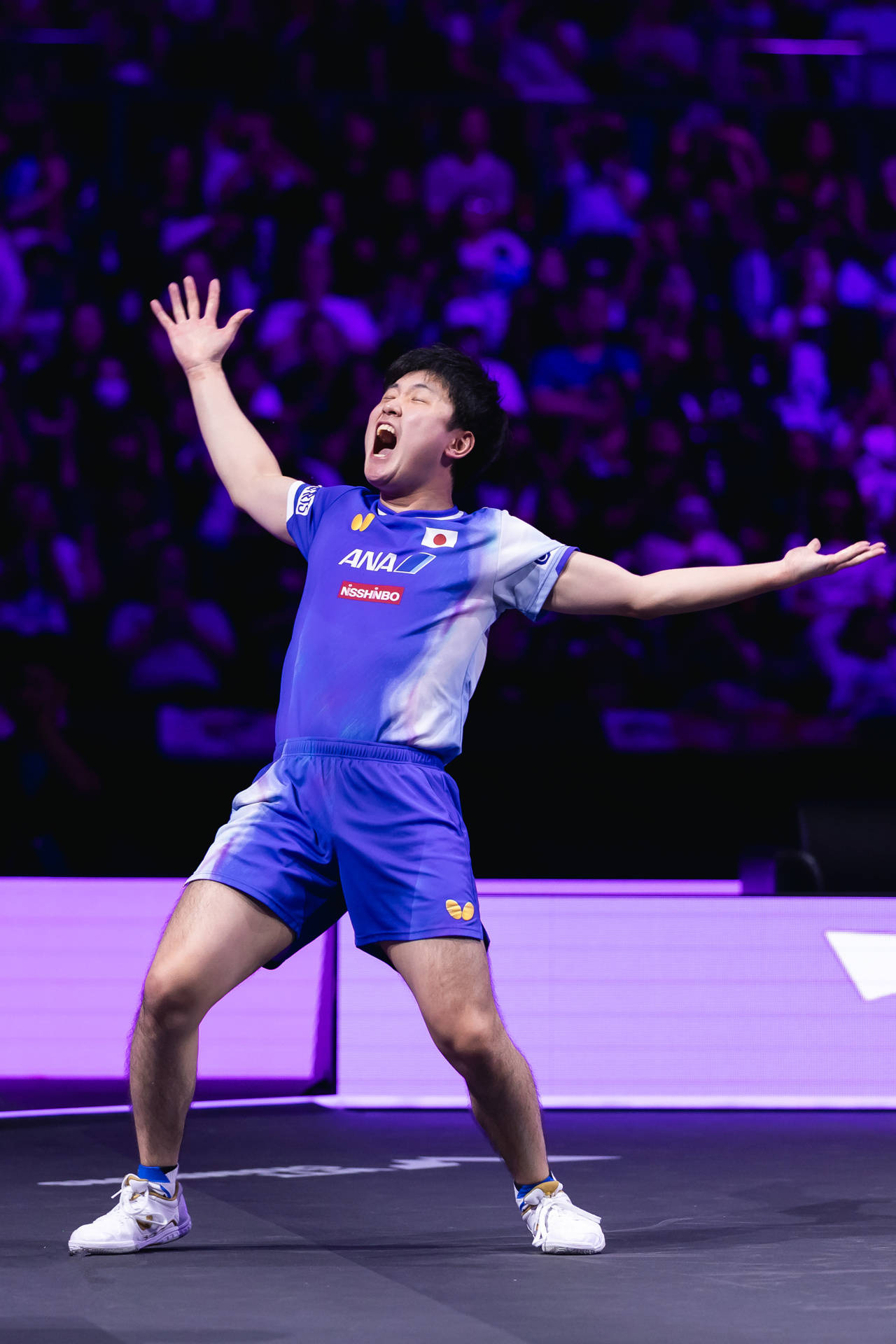 英国乒乓球队鏖战德国乒乓球队，张本智和高光表现的简单介绍