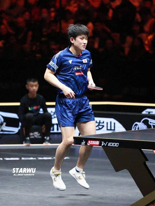 包含奥地利队横扫韩国队，张本智和统治全场的词条