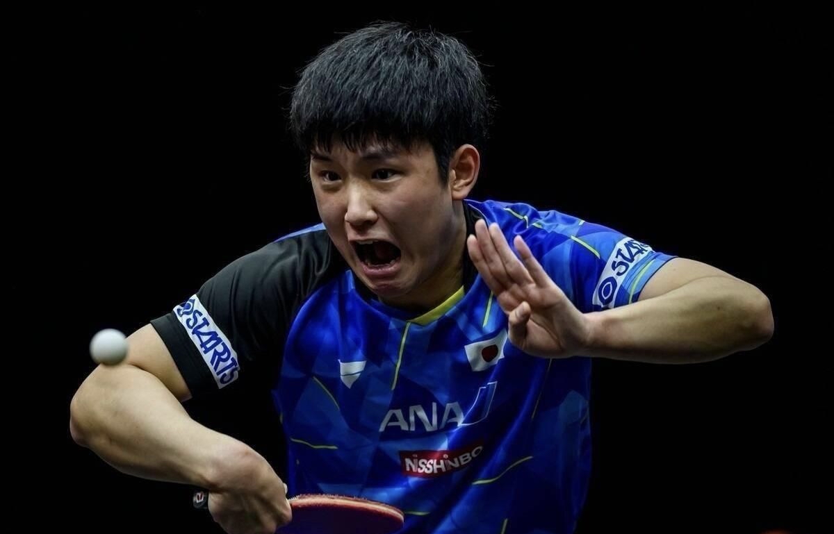 包含英国乒乓球队轻取奥地利乒乓球队，张本智和高光表现的词条