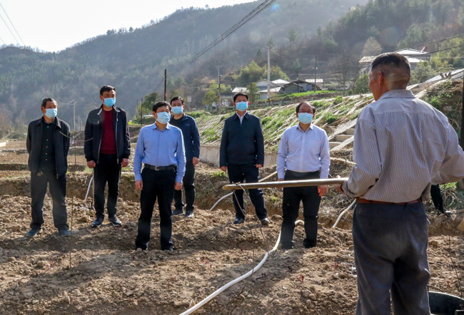 南宁队合力攻坚，迅速抢占领先优势的简单介绍