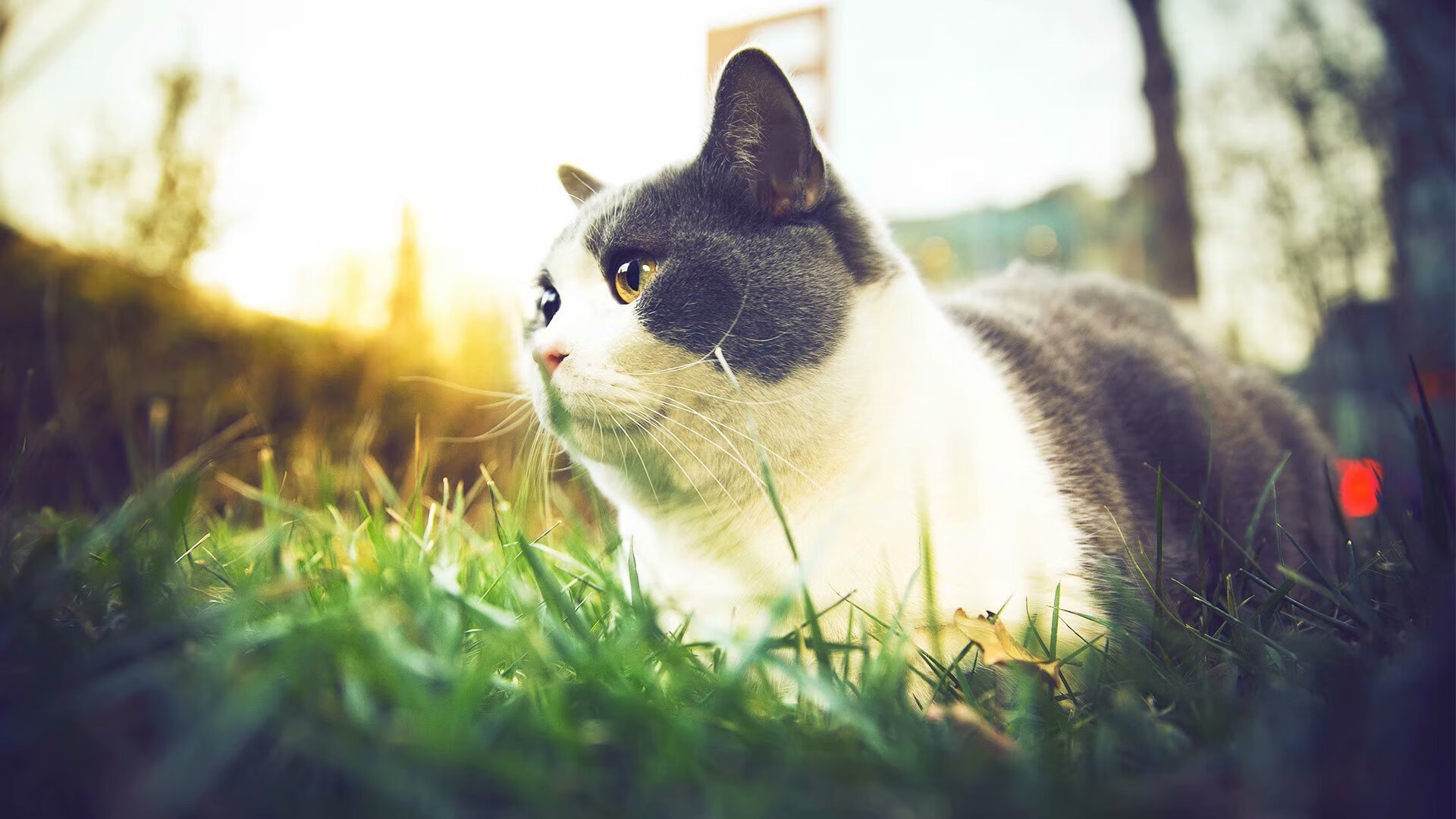 门神觉醒，奥纳纳抢七之夜全程高能，改写曼联命运