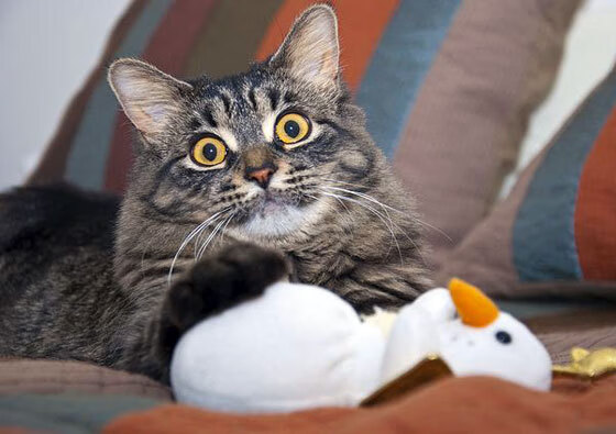 门神觉醒，奥纳纳抢七之夜全程高能，改写曼联命运