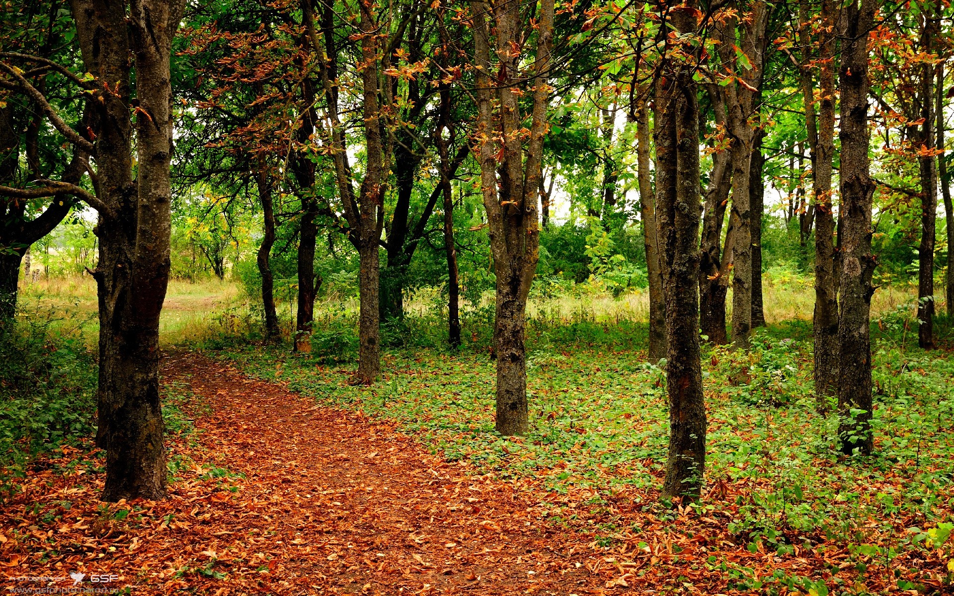 梅西爆发破僵局，皇家社会关键战突围，威尔士启示录，当传奇照亮征途