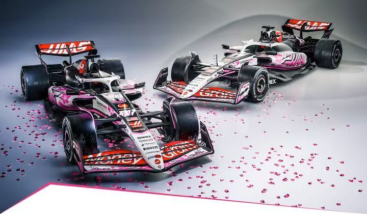 哈斯车队力克雷诺车队，维斯塔潘高光表现的简单介绍