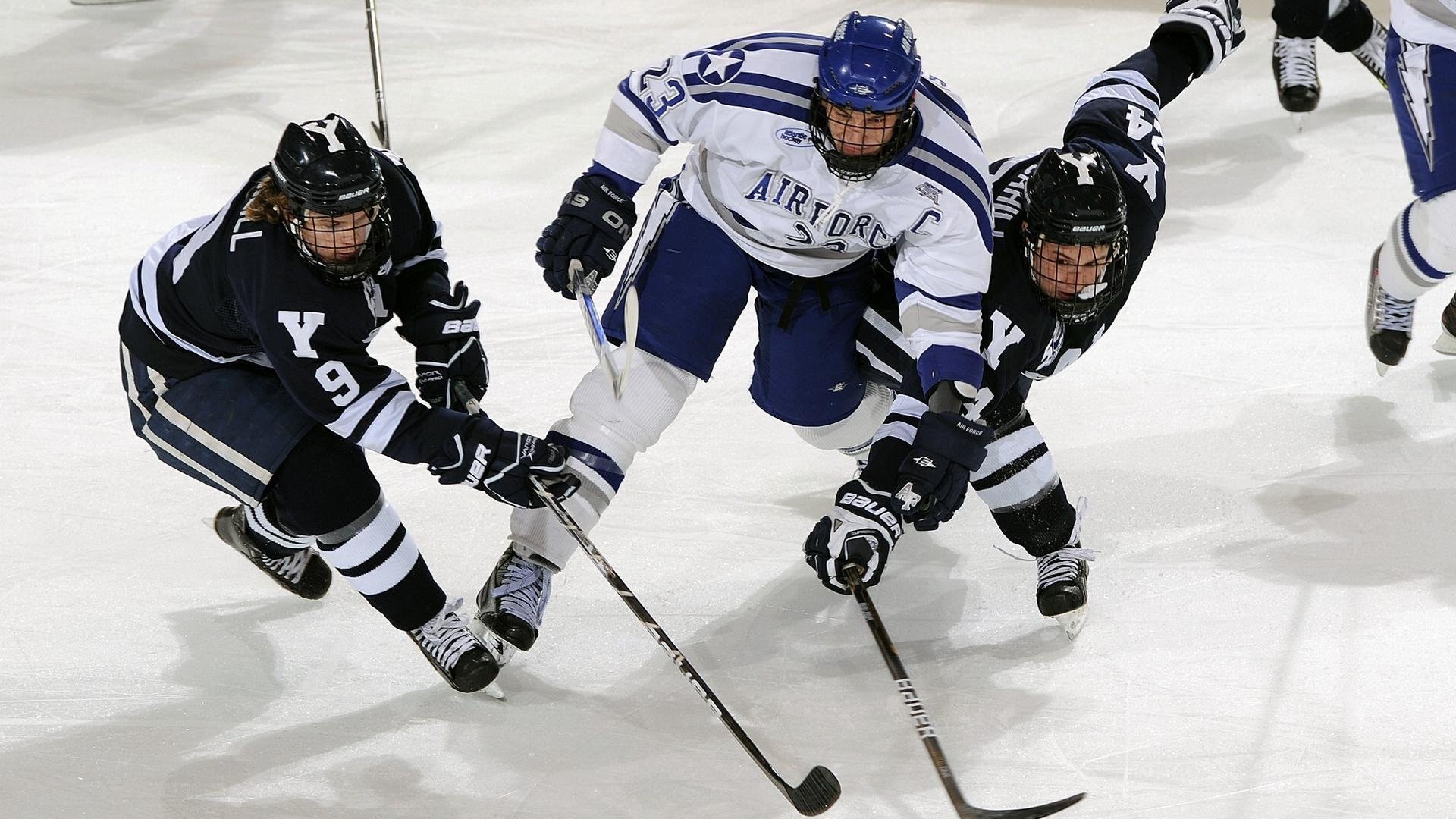 黄蜂展翅，轻取新疆—德甲争冠焦点战的战术启示